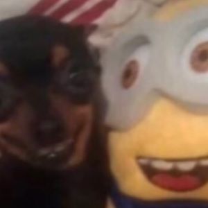 Meet your Posher, Isabella